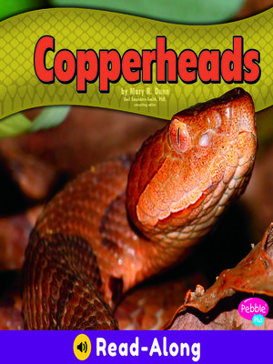 cover image of Copperheads